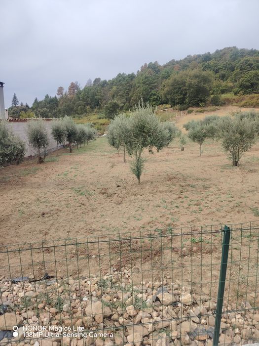 Terreno em Torres Trancoso