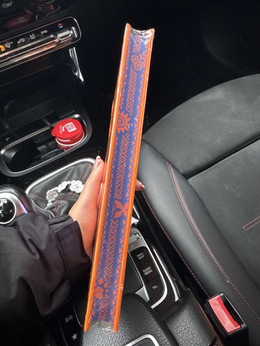 O Rei Leão Especial Disney