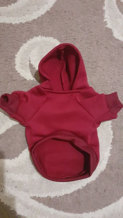 Толстовка, одежда для собак, котов