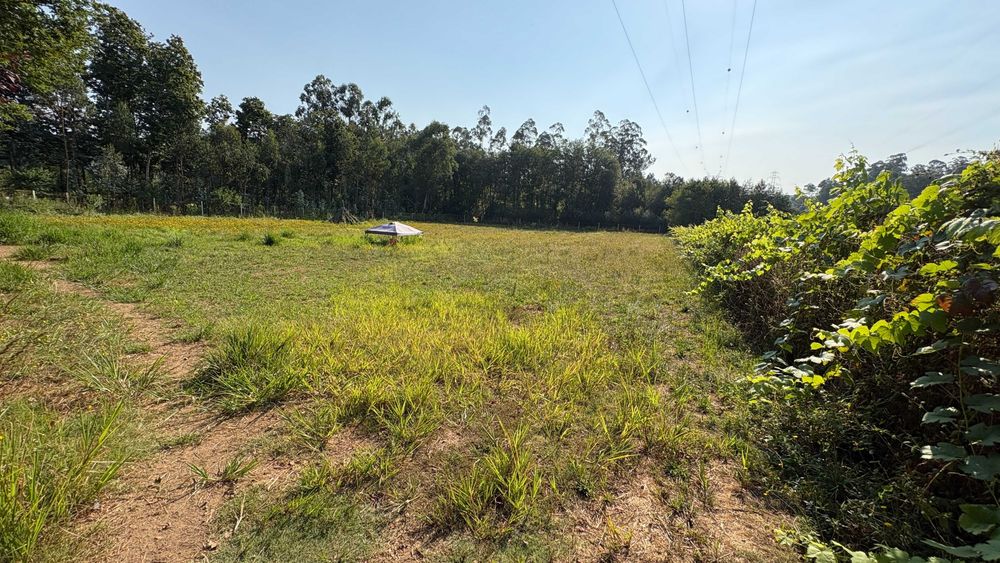 Terreno Rustico em Sandiães