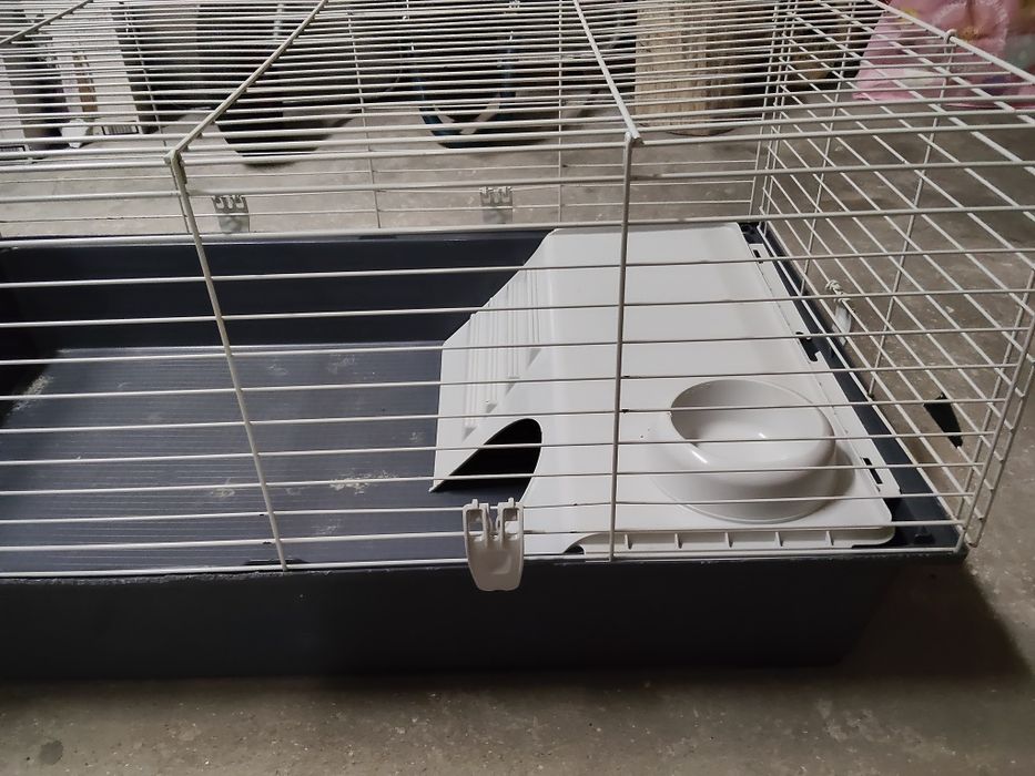 Gaiola para animais