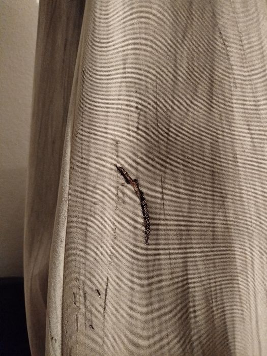 Chapeu para terraço ou jardim