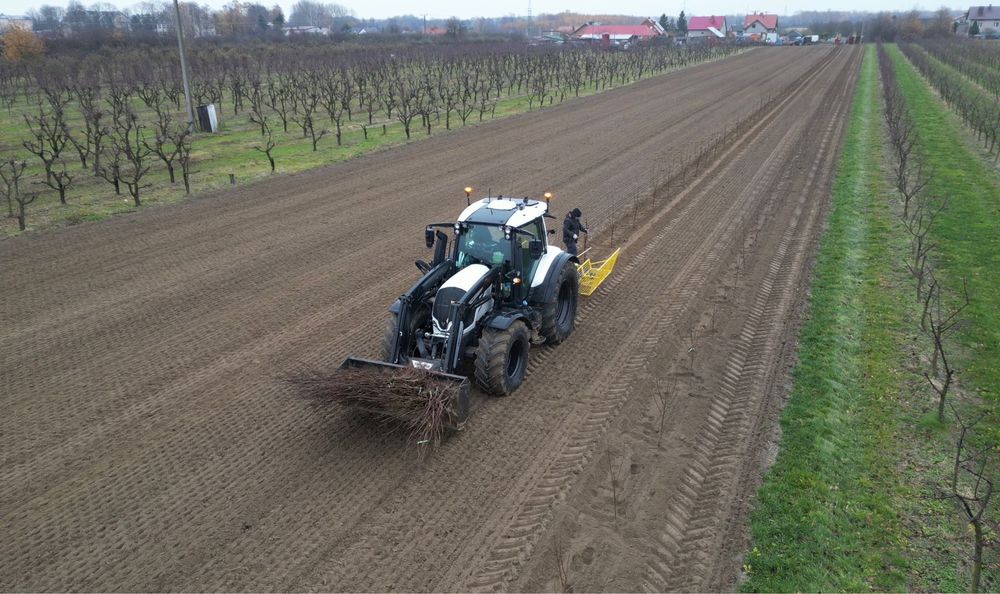 Zakladanie plantacji sadu Sadzenie drzewek jabłoni wiśni czereśni GPS