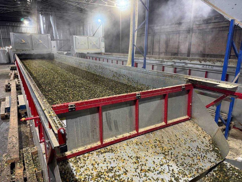 Стіл для сушіння гарбузового насіння / гарбузовий стіл PHOENIX 12*2