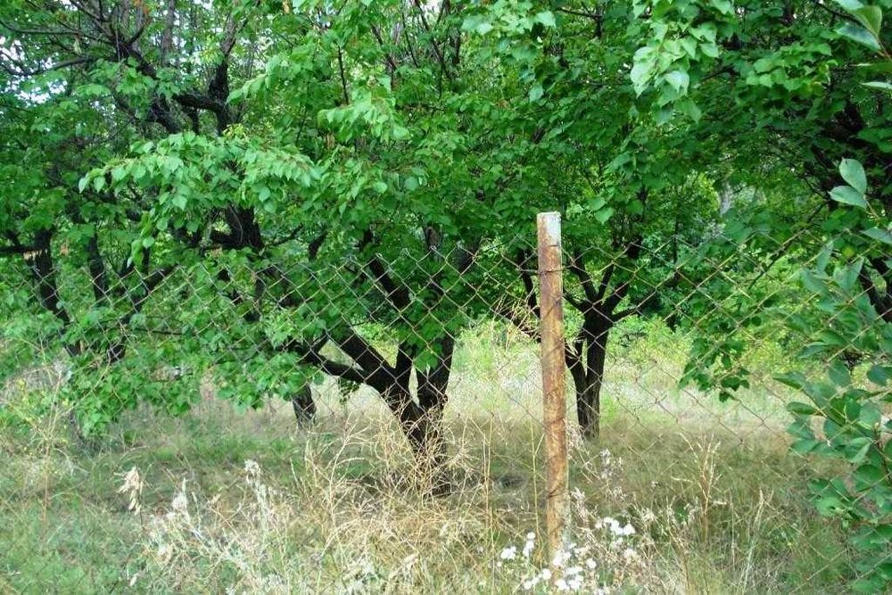 Продам дом в селе Николай-Поле