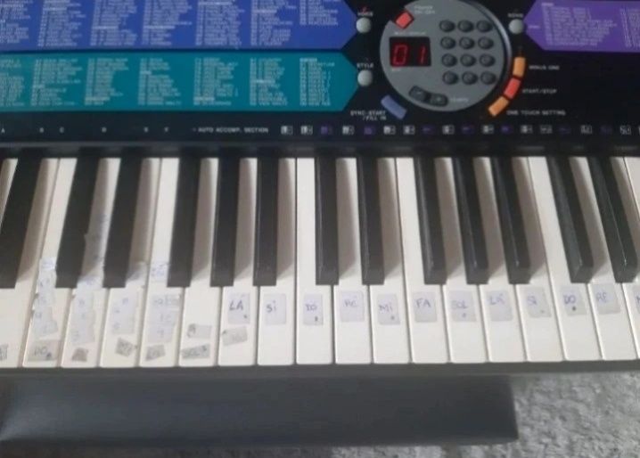Órgão instrumental
