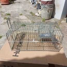 Armadilha para captura ratos, ratazanas e outros roedores.