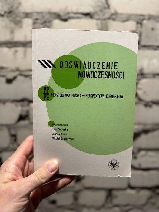 Doświadczenie nowoczesności - Ewa Paczoska