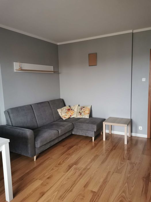 Wynajmę mieszkanie, 2 pokoje, Piątkowo ul. Hulewiczów