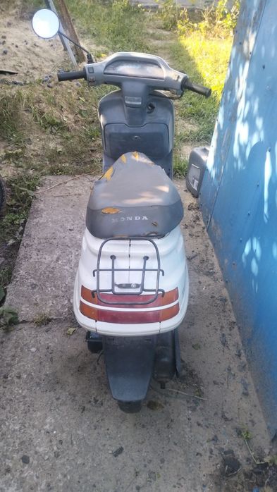 Honda tact 24 біла