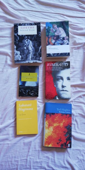 Livros de Poesia - Rimbaud, Pound, Goethe, Ovídio... (portes grátis)