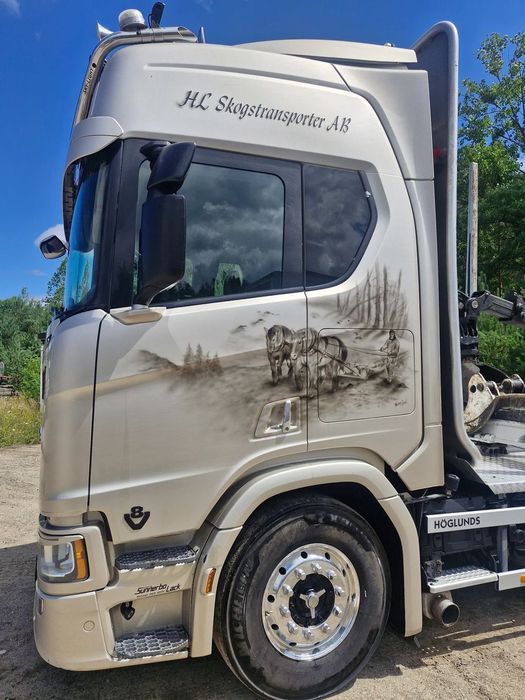 Scania R650  Scania R650  2019 Epsilon m12 9.6m m drewna lasu 6x4