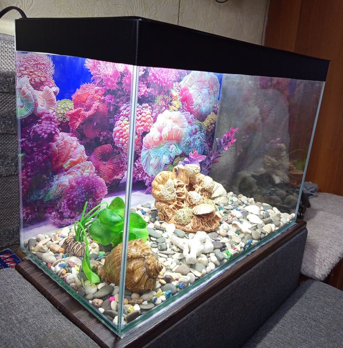 Аквариум 40 л.полный комплект