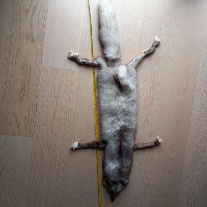 Srebrny Lis Srebrny - kołnierz z lisa srebrnego, cała skóra dwustronna