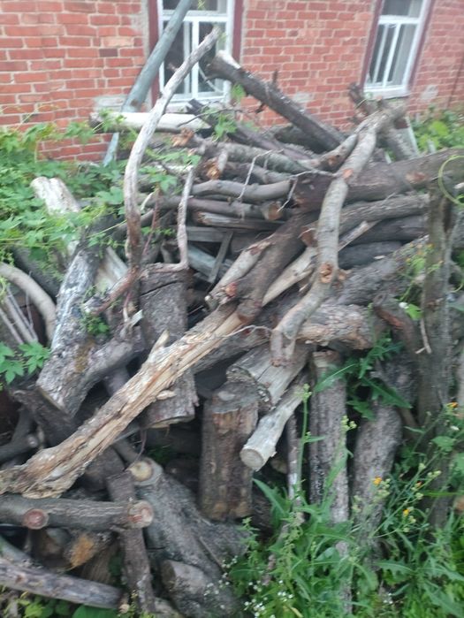 Дрова зпиляні дерева свіжі, обрізки, доски