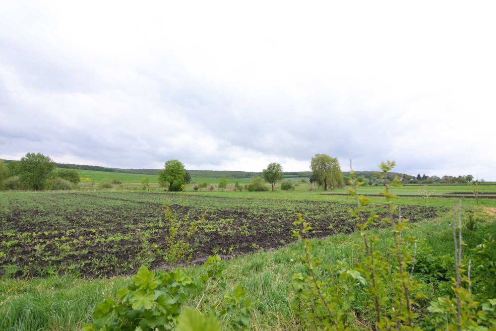 ТЕРМІНОВО продам будинок в селі Попелів (60)