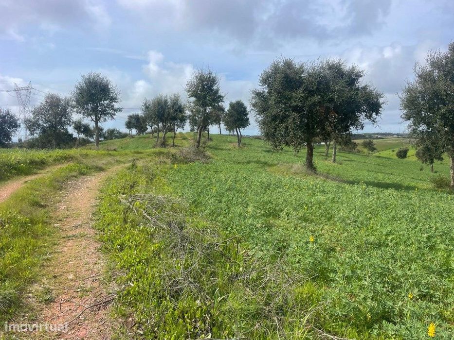 Rustic Land for Sale in Sines