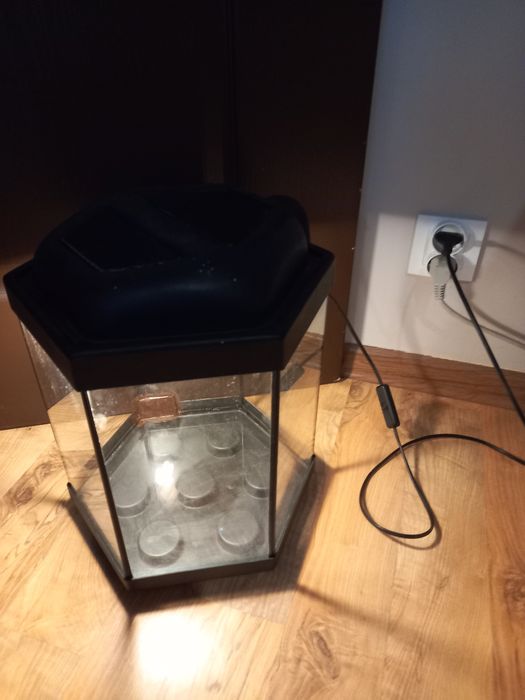 Terarium dla pająka ze światłem