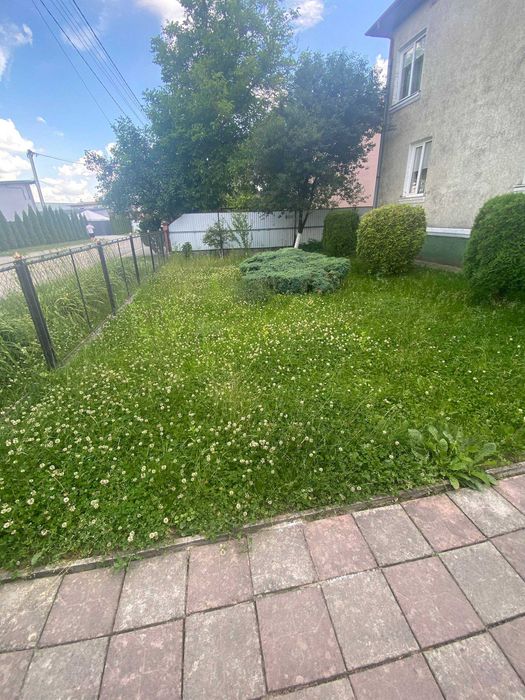 Покос трави, косіння ділянок — Дрогобич, Стебник, Трускавець, Борислав