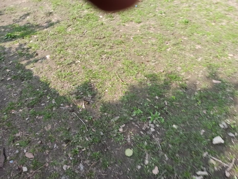 Прес підбирач Rivirre casalis