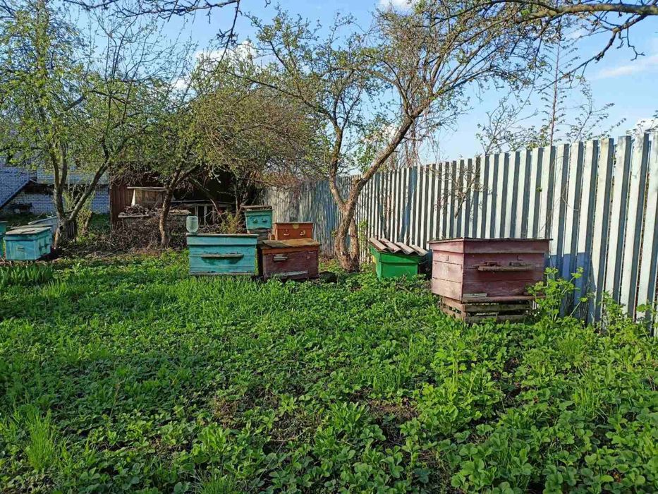 Продам павільйон з бджолами  і вуліки