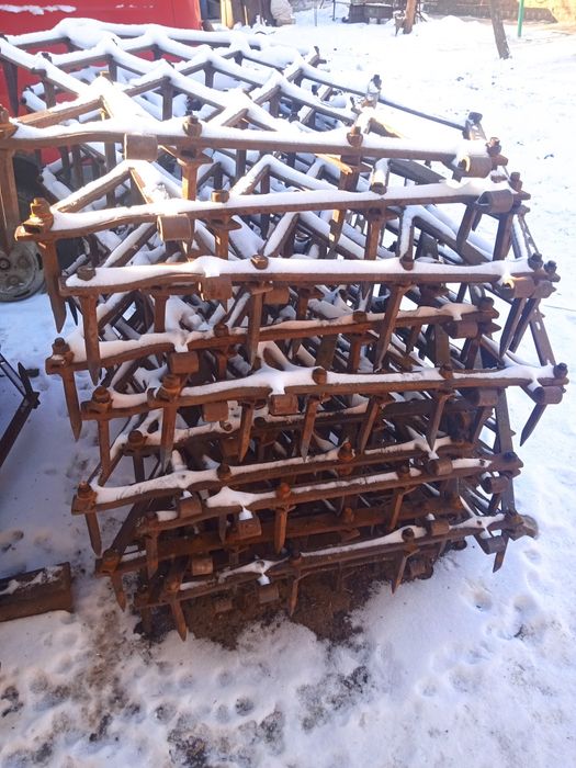 Борона зубова   .