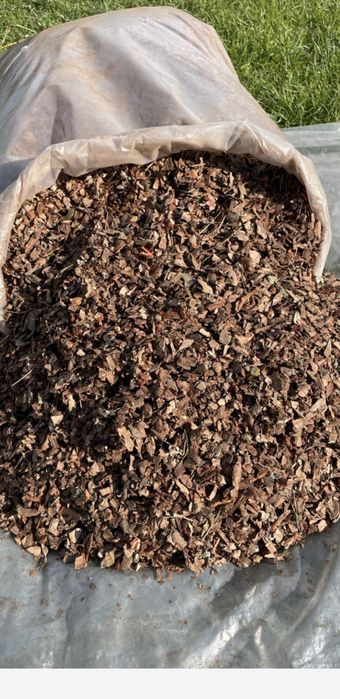 Кора соснова декоративна 50л