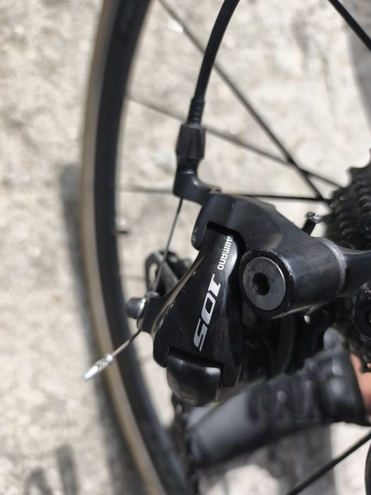 Bicicleta Specialized Roubaix elite (carbono)