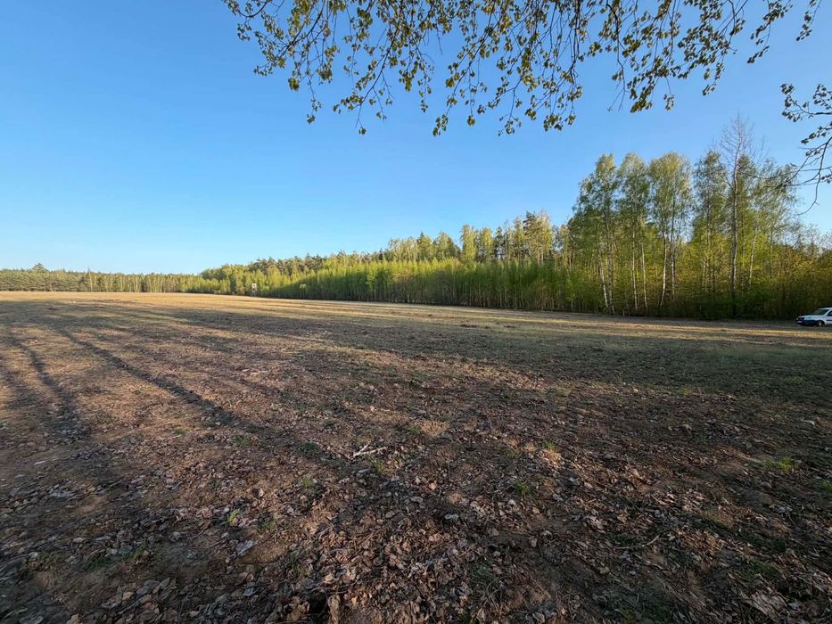 Działka 3000m z warunkami zabudowy.