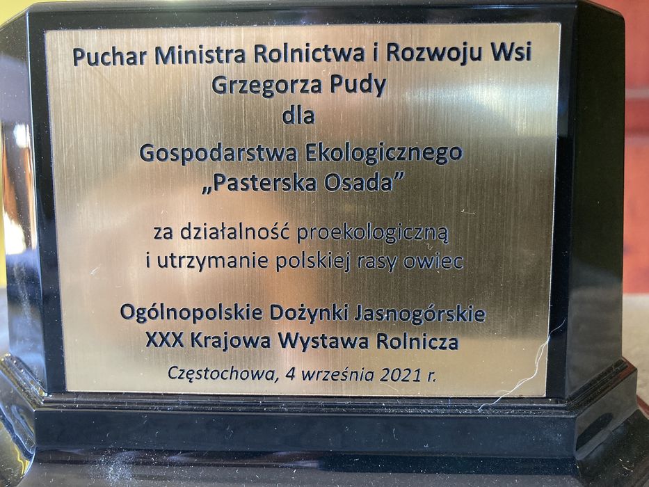 Jagnięcina ekologiczna