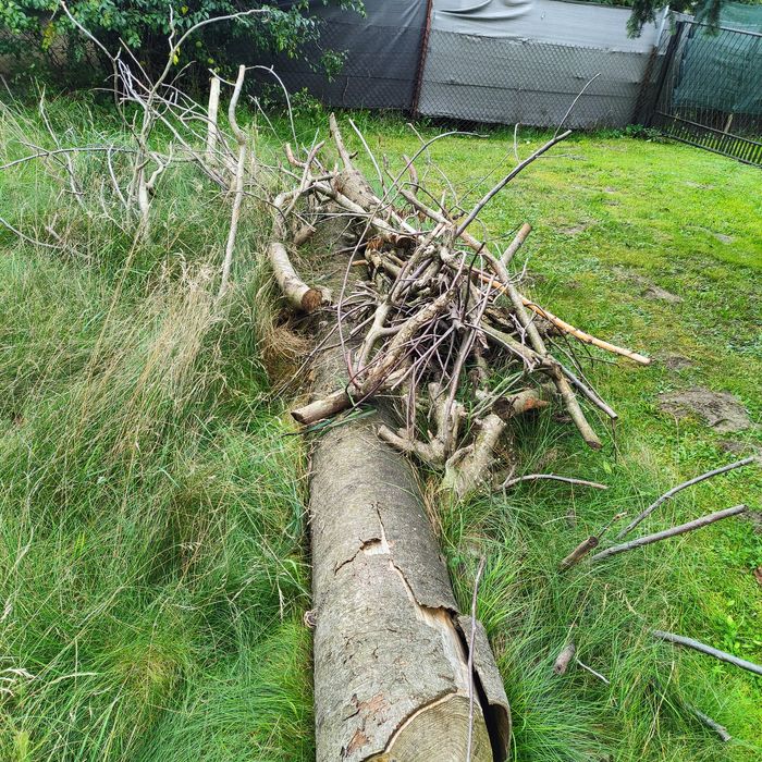 Sprzedam drzewo opałowe lub na deski