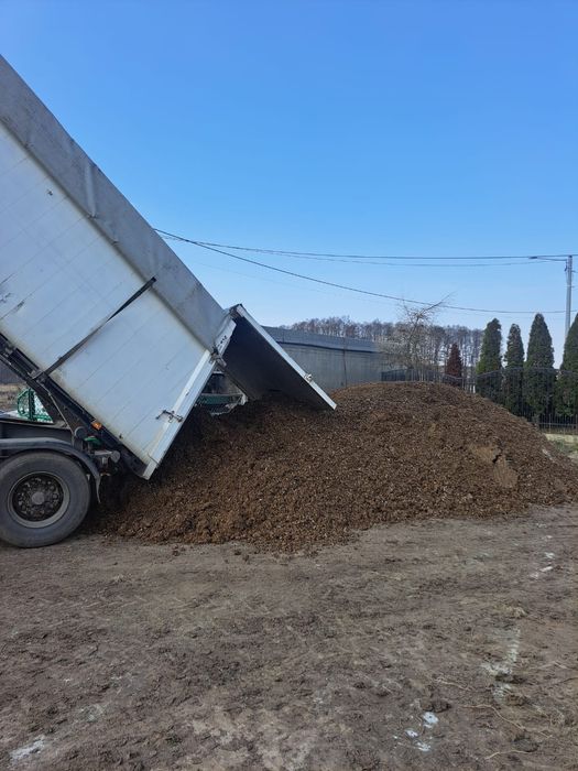 Obornik pomiot kurzy