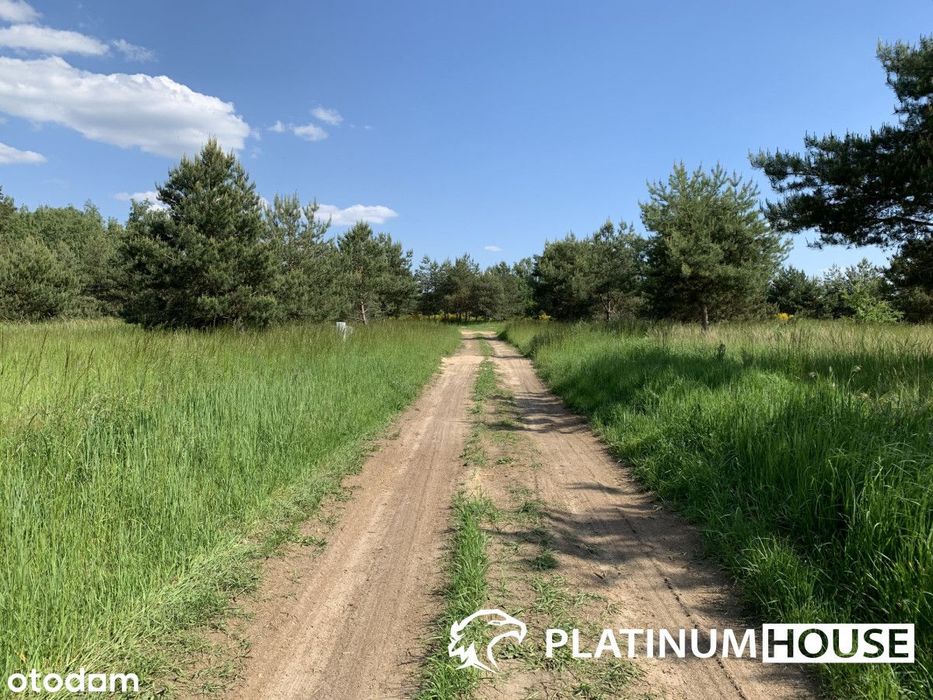 Uzbrojone działki budowlane - 500m od jeziora!