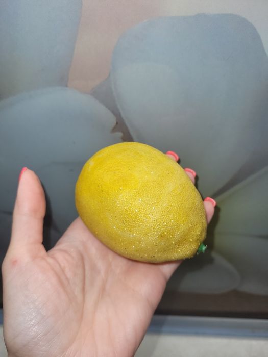 Лимон іграшковий пласмасовий