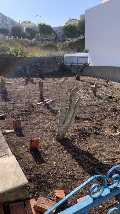 Serviços de limpeza de terrenos e quintal, corte de árvores de médio e pequeno porte