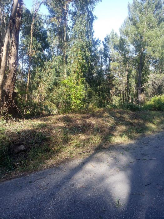 Terreno em Alqueidão - Tomar