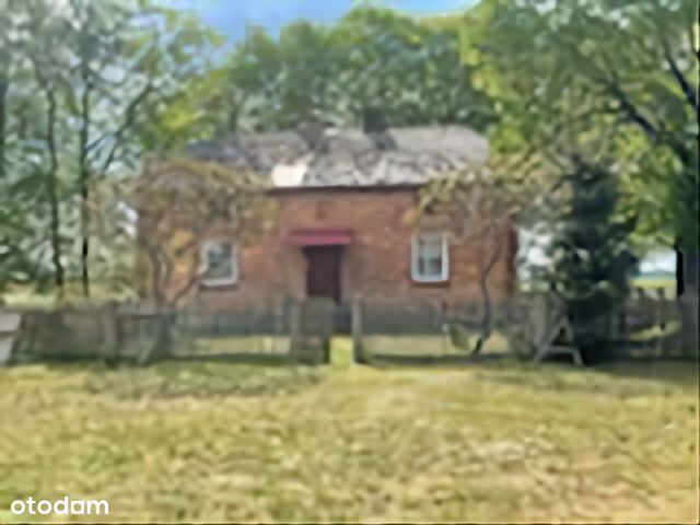 Wynajmę siedlisko z budynkami gospodarczymi