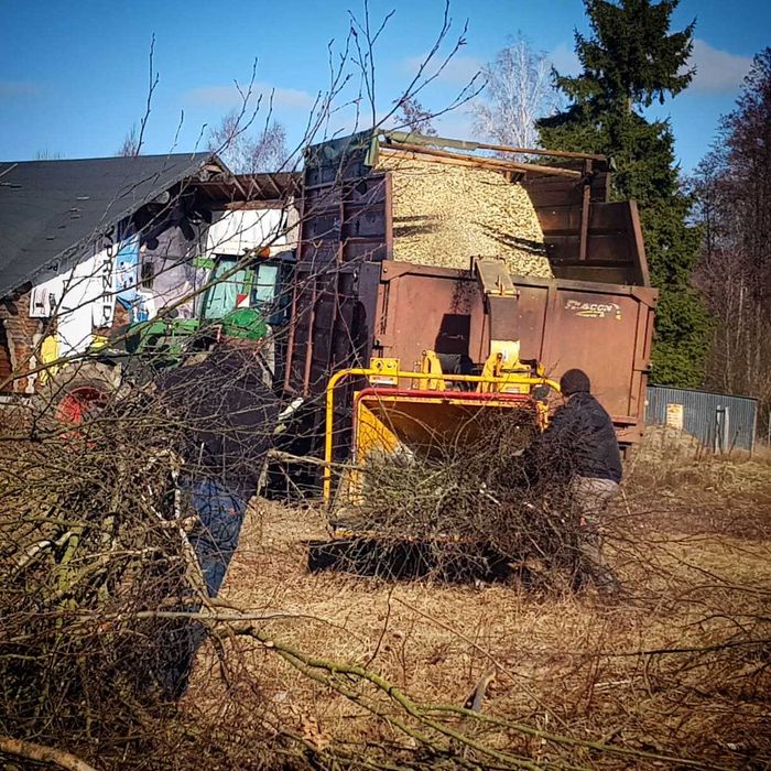 Zakupimy las, wyrąb lasów,wycinka drzew ,skup drewna, rekultywacja