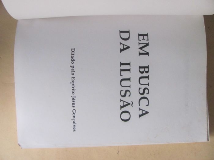 Em Busca da Ilusão de Célia Xavier Camargo