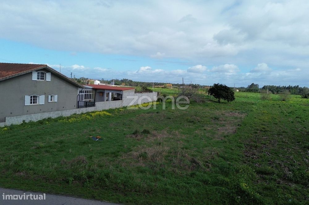 Terreno para moradia isolada ou 2 moradias geminadas_1900m2_Vagos