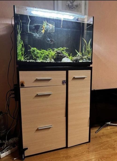 Акваріум 140 літрів з тумбою і всим комплектуючим