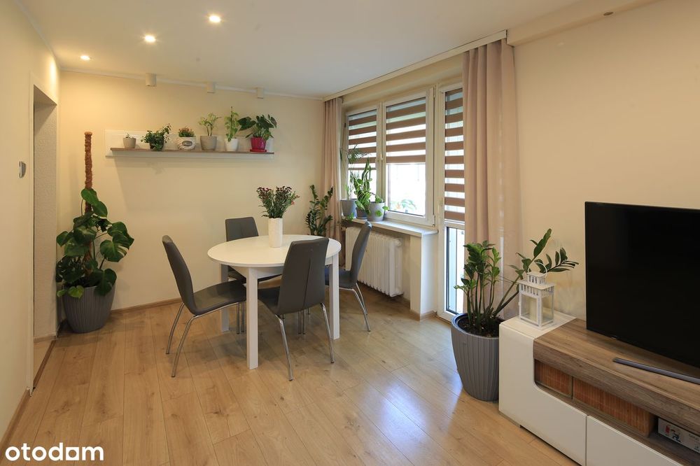 Przestronne 2 pokoje | 52,8 m² | 1. piętro | ul. Zgrzebnioka