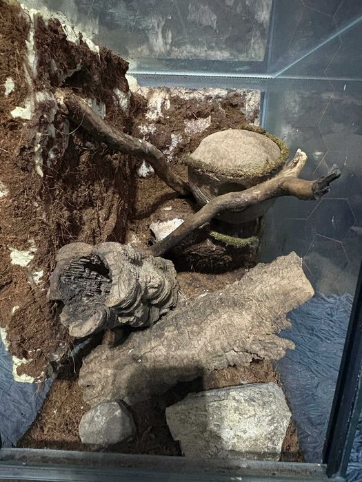 terarium dla zwierząt egzotycznych