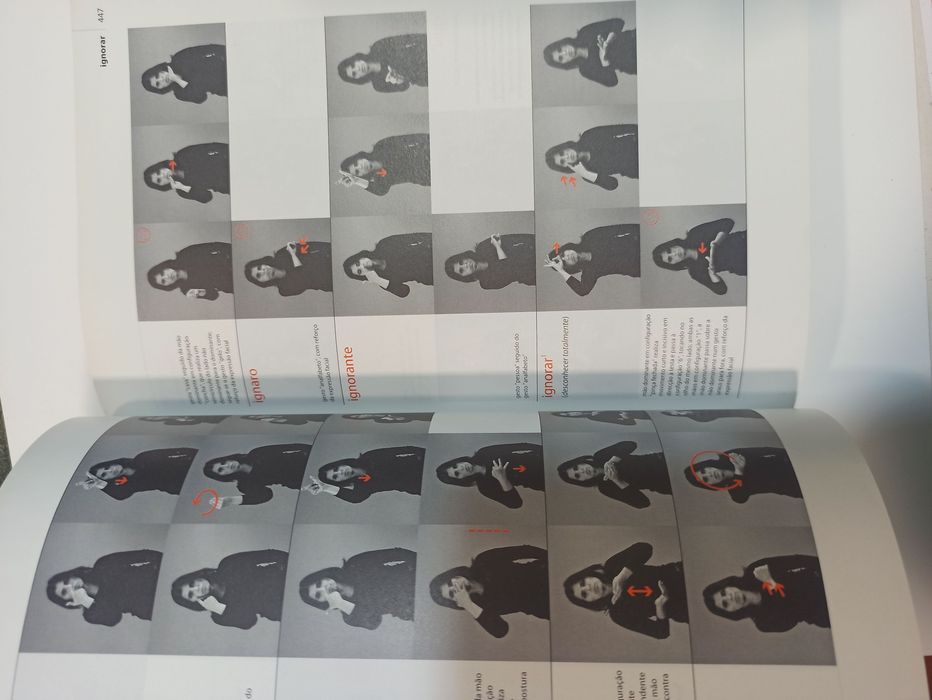 Dicionário Língua Gestual Porto Editora