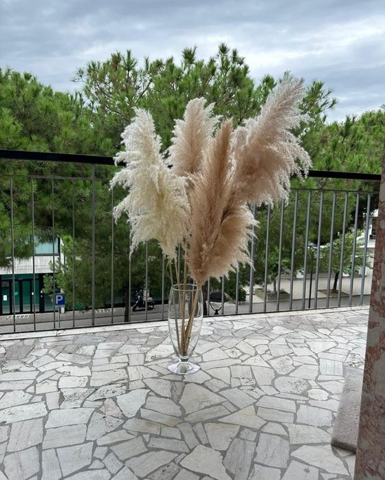 Тренд року! Пухнаста пампасна трава для декору