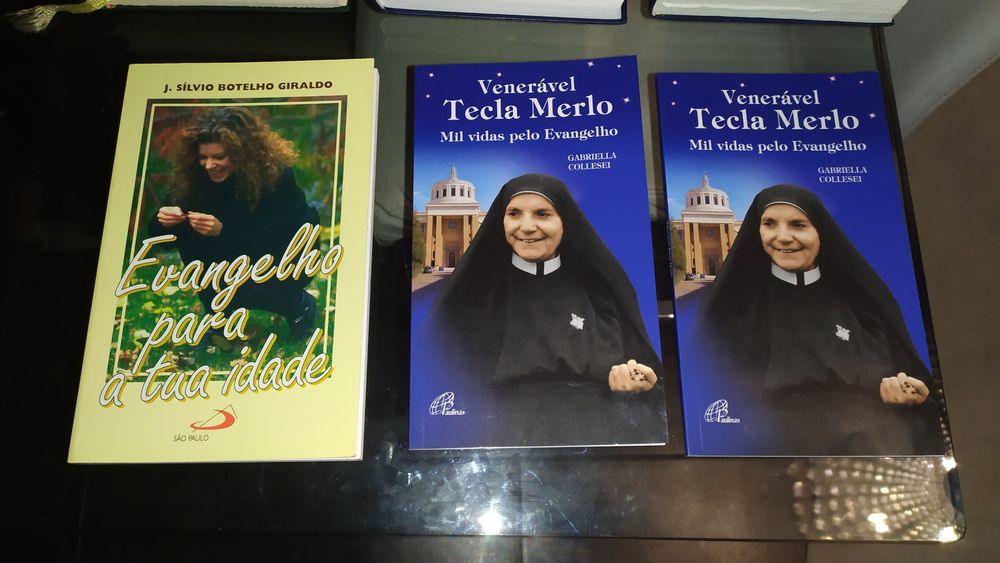 Livros religiosos : bíblia sagrada de 1988 , 2 livro de mórmon etc..