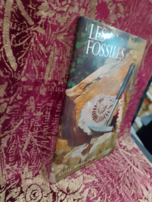 Les Fossiles - Hans Werner Rothe