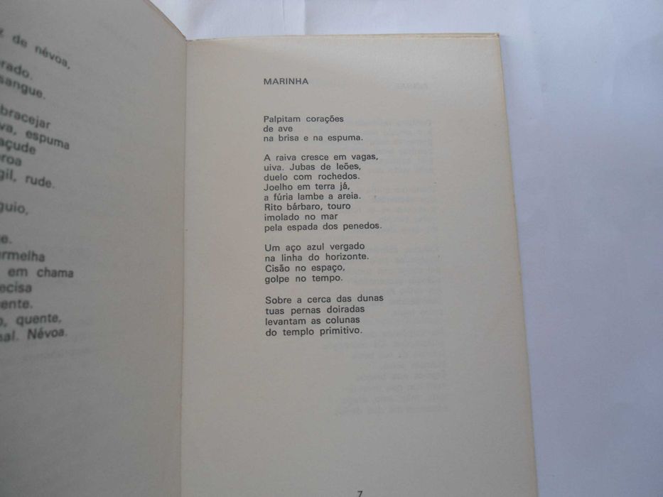 Os Dias Caem verdes por Manuel Amaral