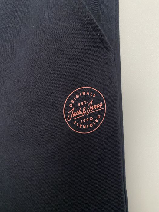 Спортивні Чоловічі штани JACK&JONES
