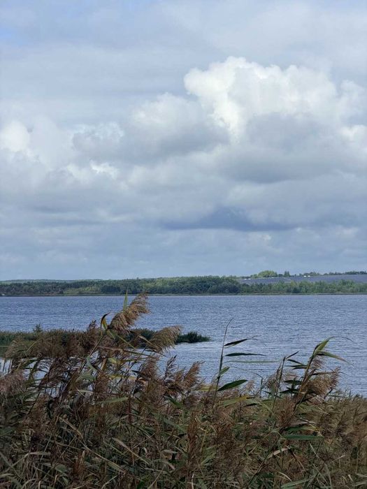 Продаж ділянки на березі озера Сірка | Яворівське море | 50 соток